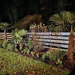 Ledererguetl - Jokercard & Parkplatz Inkl 3*
